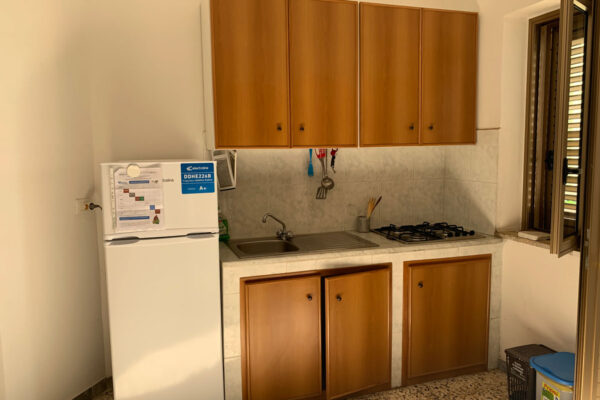IMG_1233 IMG_1233